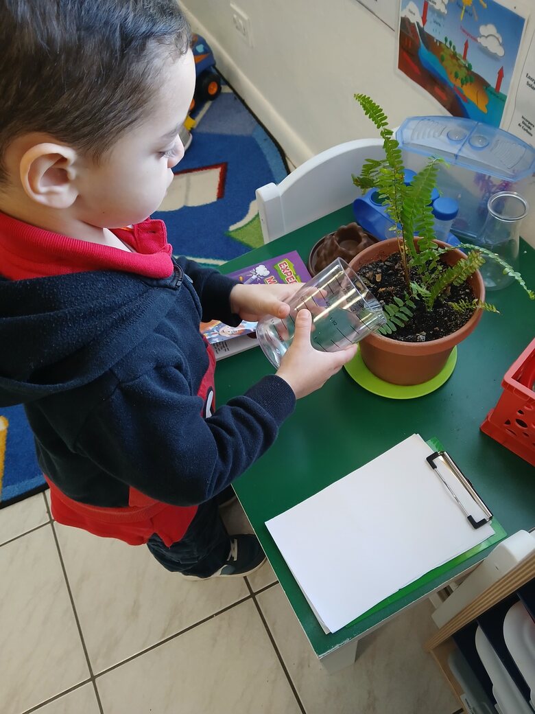A boy pouring water from a glass measuring cup into a potted fern.